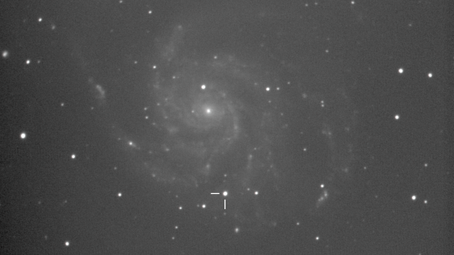SN2011fe, Supernova in M101