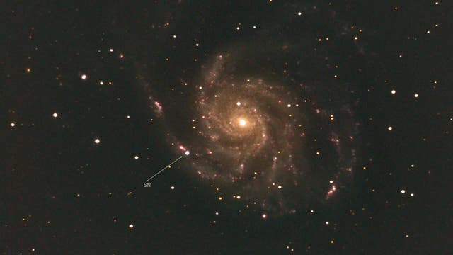 Congrats again: Koichi Itagaki SN ixf2023 in M101