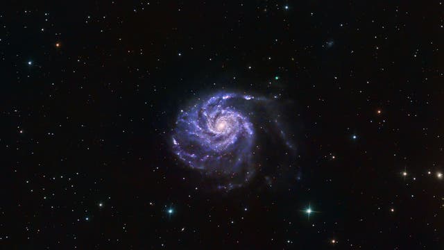 Supernova SN 2023ixf in Messier 101