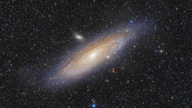 Andromeda 