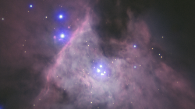 Trapez im Orionnebel