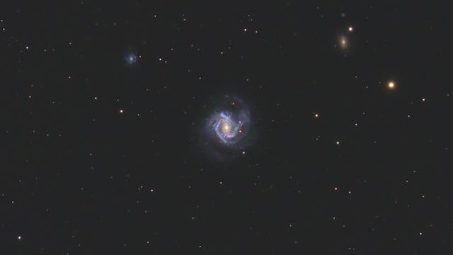 Messier 61 mit Supernova