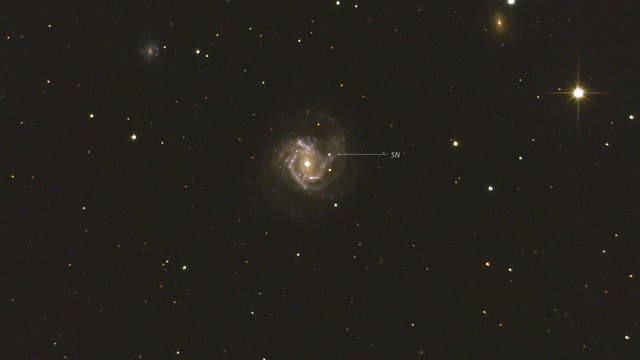 Supernova in M61