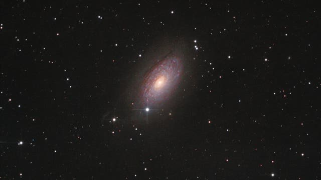 Sonnenblumengalaxie Messier 63 - dreifach gedrizzelte Version