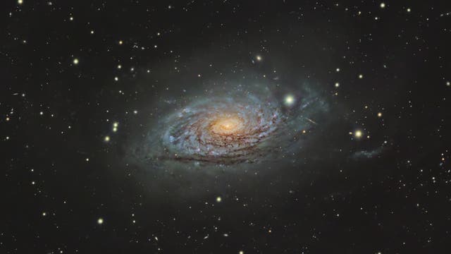 M 63 - Sonnenblumen-Galaxie