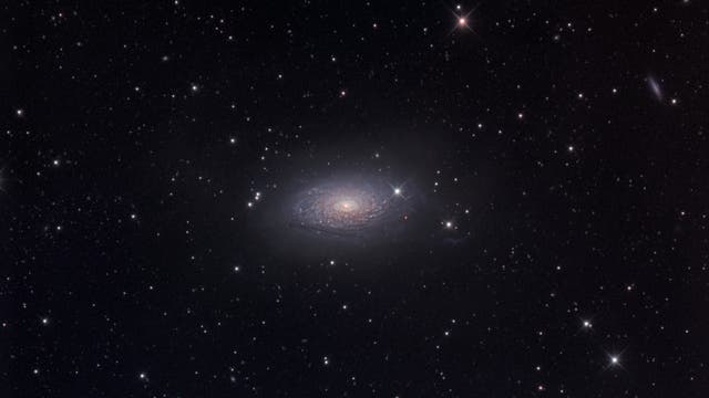 Messier 63, Sonnenblumengalaxie