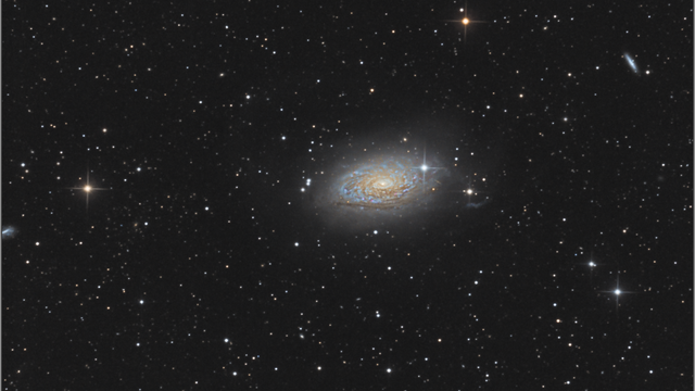 Messier 63  eine Sonnenblume im Weltall