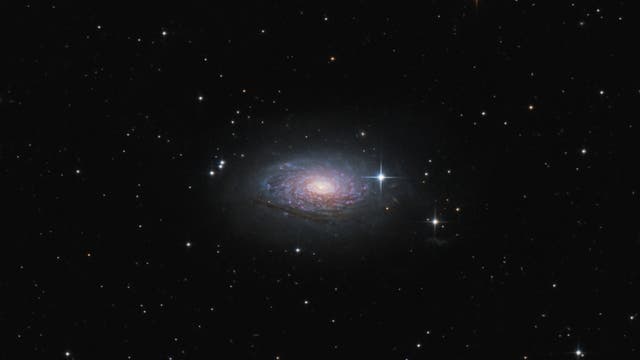 Messier 63 - Sonnenblumen-Galaxie