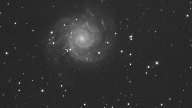 SN 2013ej in M74
