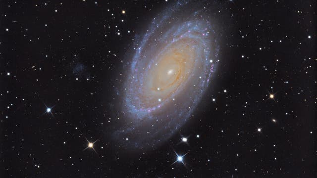 M 81 - Bodes Galaxie