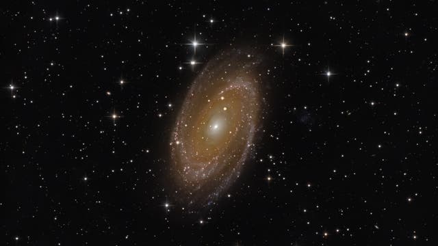 Messier 81