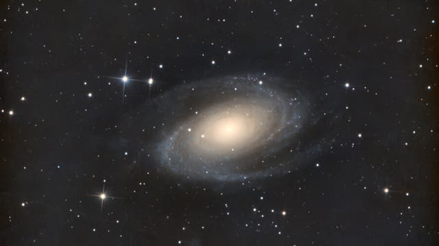 Galaxie M81 (Bodes Galaxie)