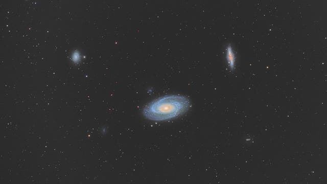 Die M81-Galaxiengruppe