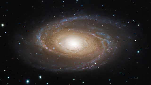 M81 Bode's galaxy 