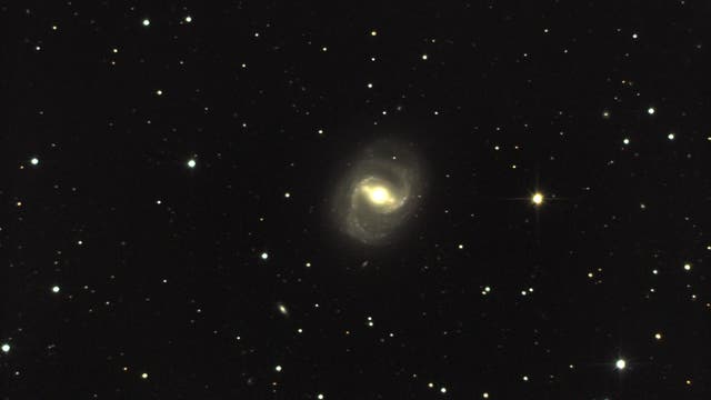 Messier 91: Eine schöne Balkenspirale im Haar der Berenike