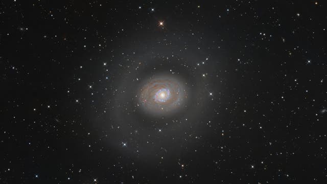 Messier 94 (NGC 4736), die Krokodilaugen-Galaxie
