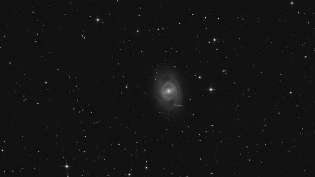 M 95 mit Supernova 2012aw