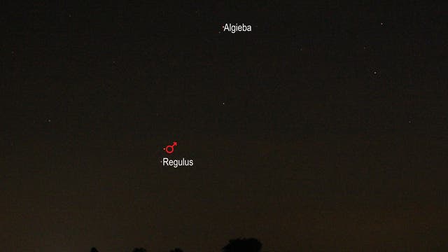 Mars in Konjunktion mit Regulus (Objekte beschriftet)
