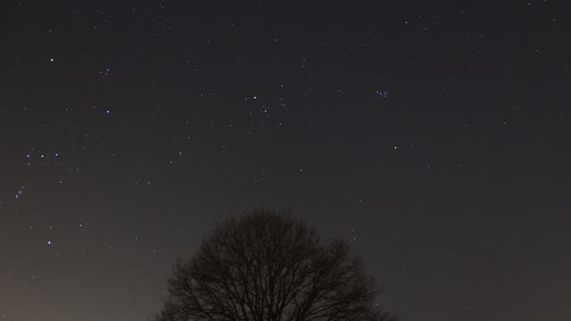 Sternbild Stier mit Mars und Orion