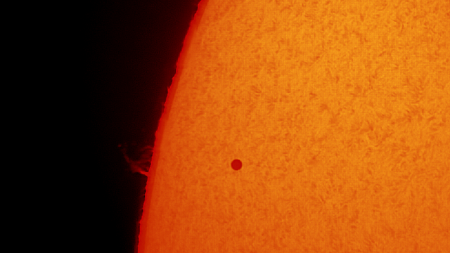 Merkurdurchgang in H-Alpha - nahe der kleinen Protuberanz