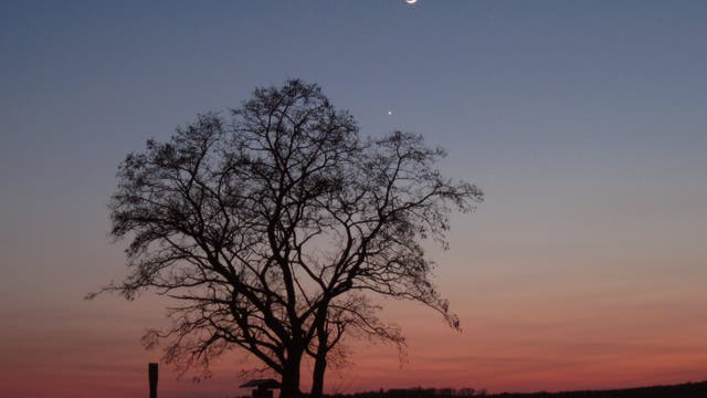 Venus und Mondsichel am 16.4.2010