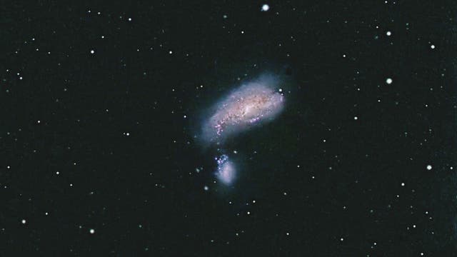 NGC 4490 und NGC 4485