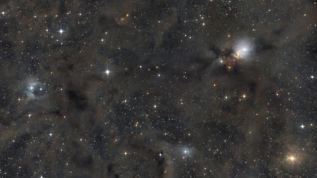 NGC 1333 und Umgebung