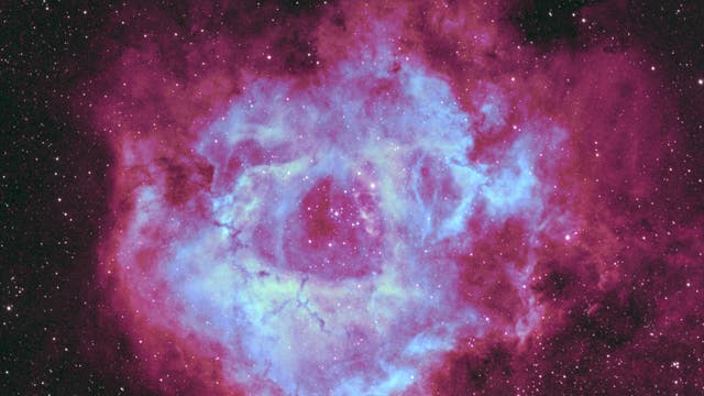 NGC 2244 Rosettennebel in Fancy Color 