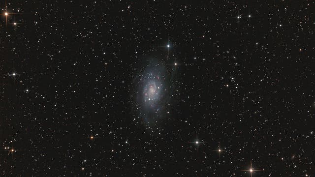 Galaxie NGC 2403 im Sternbild Giraffe (Camelopardalis)