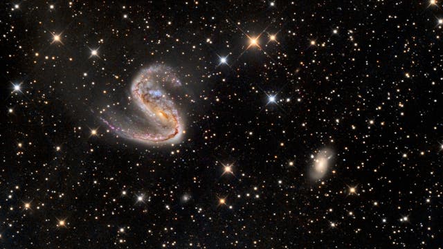 NGC 2442 (Fleischerhaken-Galaxie)