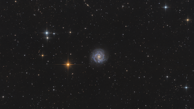 NGC 3184 Galaxie im Großen Bären