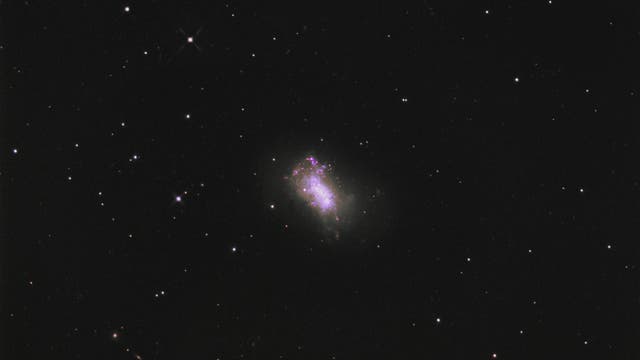 NGC 4449, irreguläre Zwerggalaxie