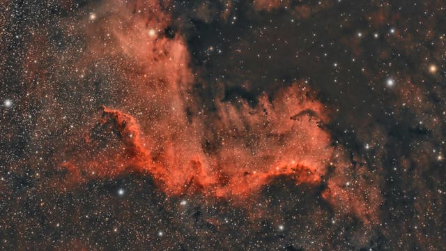 The Wall - Nordamerikanebel NGC 7000 - Ausschnitt