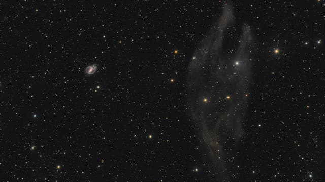 NGC 1097 und ein Plattfisch