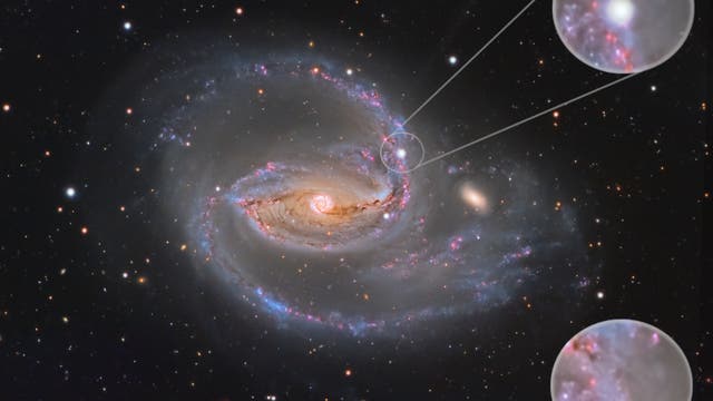 Supernova in NGC 1097