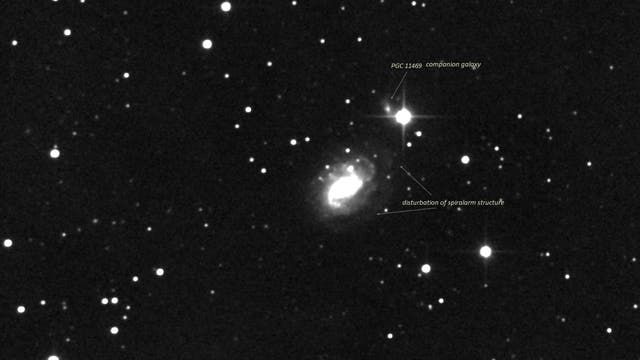 NGC 1187 - (2) kontrastverstärkt