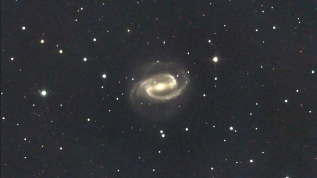 Die Balkenspirale NGC 1300 im Eridanus