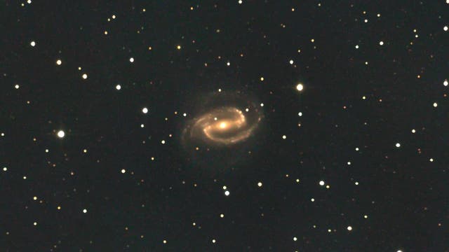 NGC 1300 - Balkenspirale im Fluss Eridanus 