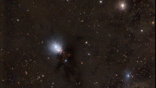 NGC 1333 + vdB 12 + vdB 13