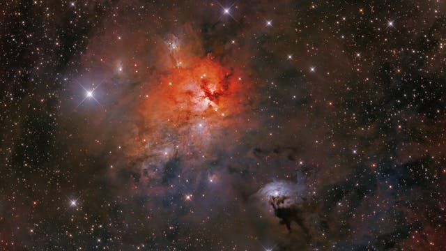 NGC 1579, der Trifid-Nebel des Nordens