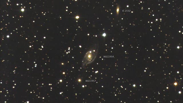 NGC 1954 group in Lepus