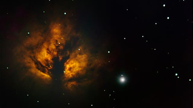 Flammen-Nebel NGC2024