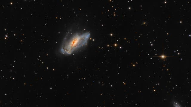 Die Staubbandgalaxie NGC 2146