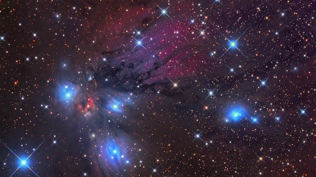Reflexionsnebel NGC 2170