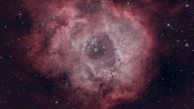 NGC 2238 - ein tiefer Blick