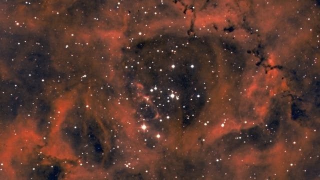 NGC 2244 Rosettennebel 