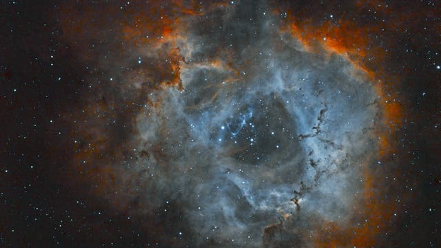NGC 2244+Rosettennebel