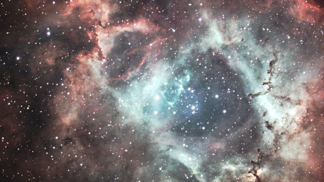 Rosetten-Nebel NGC 2244