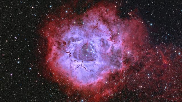 Rosettennebel NGC 2244, Bicolor-RGB