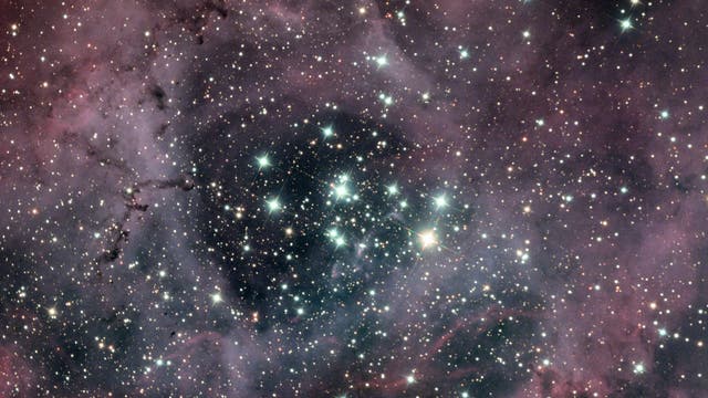 Der offene Sternhaufen NGC 2244 eingebettet in den Rosettennebel NGC 2237, 2238, 2239, 2246